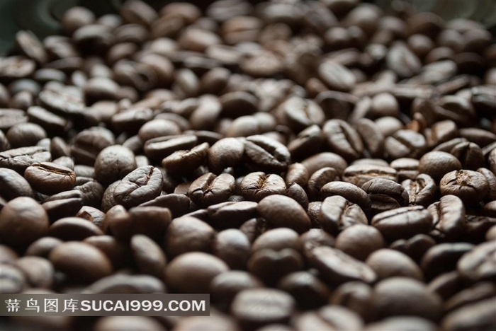 可可咖啡豆销售图片