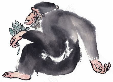 野生动物美图美图素材