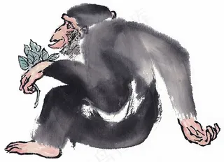 野生动物美图美图素材