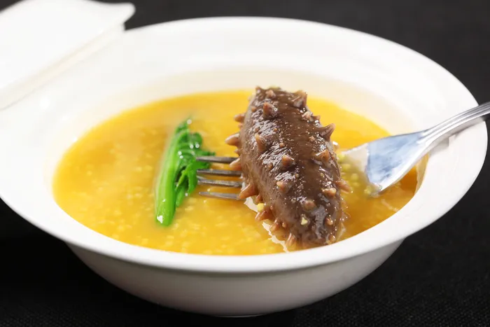 GY00089金汤小米炖活辽参 (4)