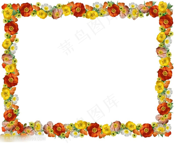 精美花卉边框