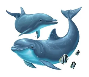 海豚 PNG免抠