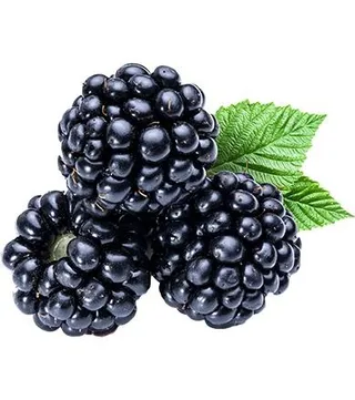 黑莓 PNG免抠