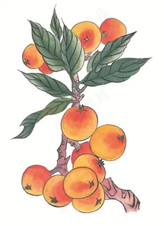 瓜果蔬菜鱼虾蟹系列jpg素材 瓜果蔬菜鱼虾蟹系列jpg素材