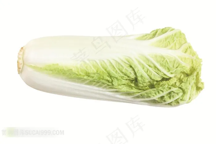 大白菜高清摄影素材