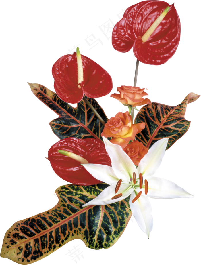 花饰和花束 