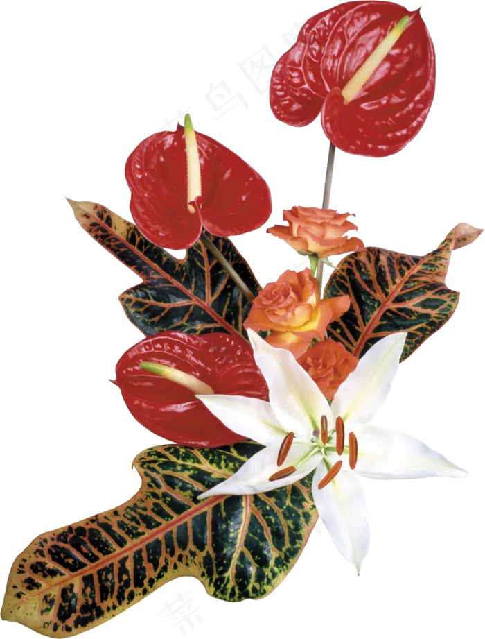 花饰和花束 
