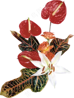 花饰和花束  花饰和花束