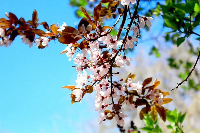 风景 天空素材 拍摄 (293)