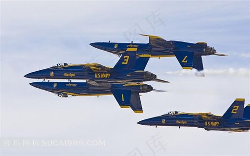 美国海军蓝天使飞行表演队战斗机表演