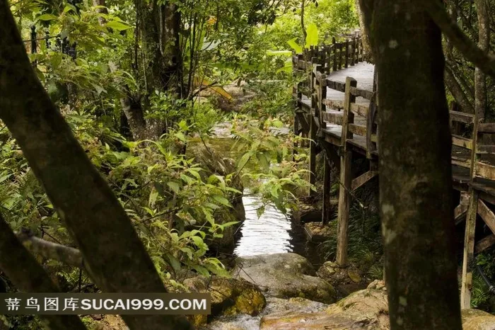 桥溪古韵旅游风景区景观