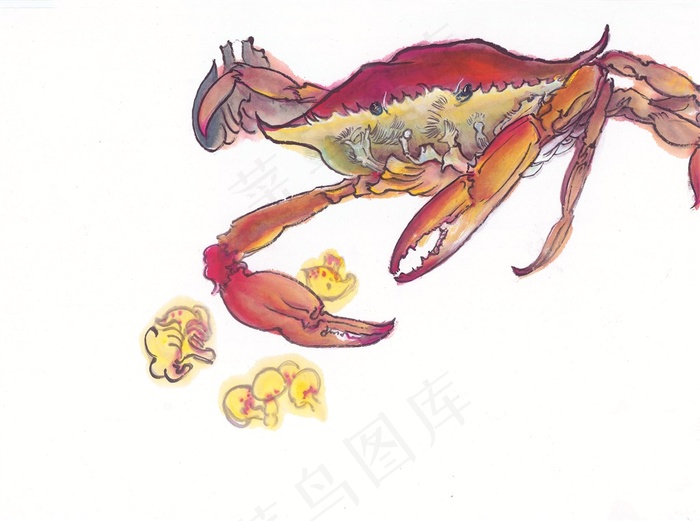国画瓜果蔬菜鱼虾蟹美术绘画素材