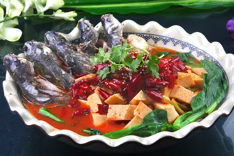 豆渣黄辣丁48 豆渣黄辣丁48