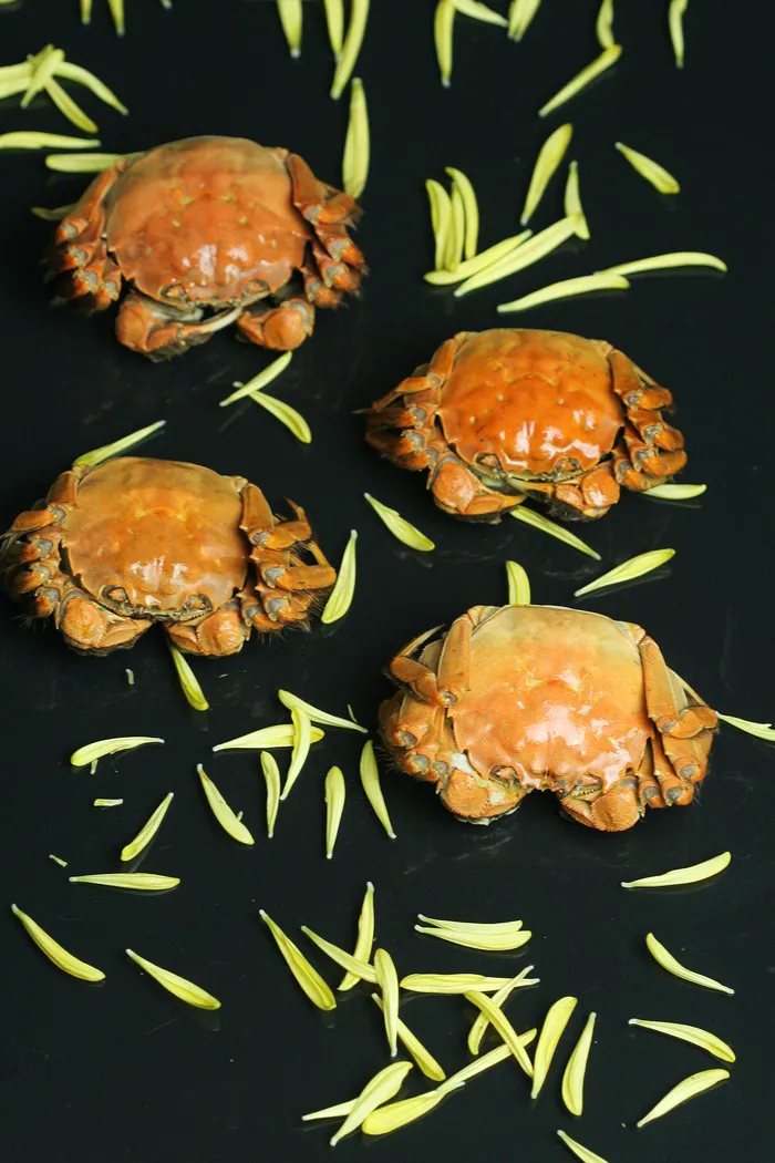 大闸蟹