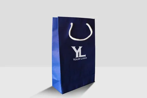 袋子样机 一个纸袋 手提袋 礼品袋 纸质包装袋 品牌购物袋