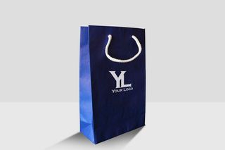 袋子样机 一个纸袋 手提袋 礼品袋 纸质包装袋 品牌购物袋