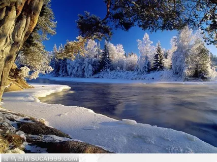 冰雪世界的河面 冰雪世界的河面