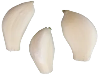 大蒜蒜米免抠素材