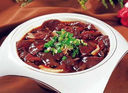 92LC126酸辣牛肝菌