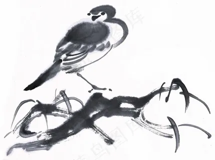 国画鸟绘画美图素材