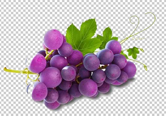 葡萄 免扣 水果 素材
