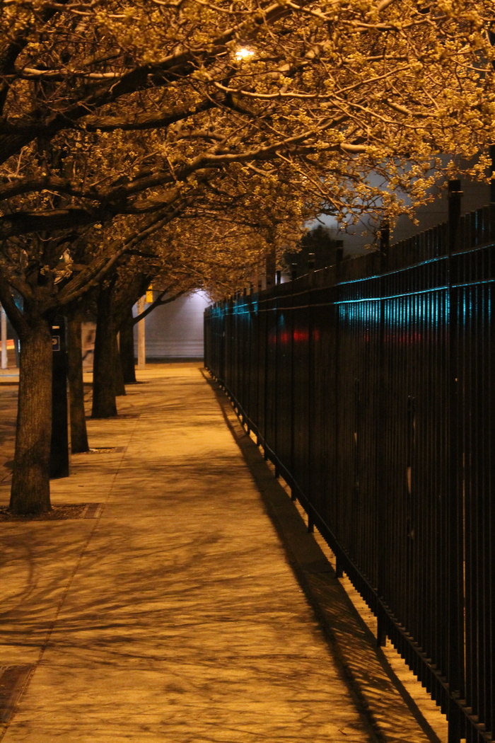 高清唯美城市夜景街景