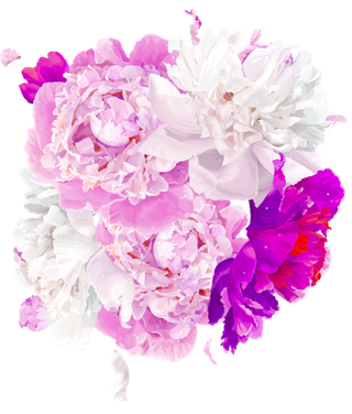 牡丹花透明免扣素材