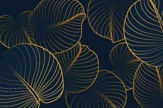 中国风古典背景矢量图片渐变金色线条花纹线性几何传统树叶ai素材