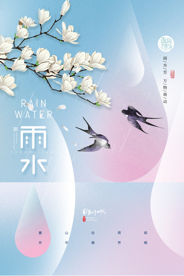 简约雨水节气海报