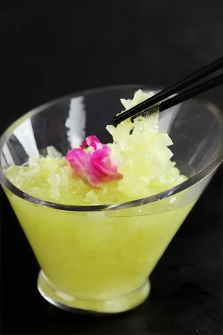 L02015养颜芙蓉 (3)