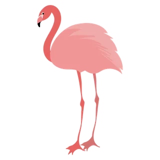 火烈鸟粉色卡通