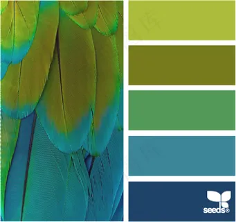 家禽鸟类配色色卡色彩搭配