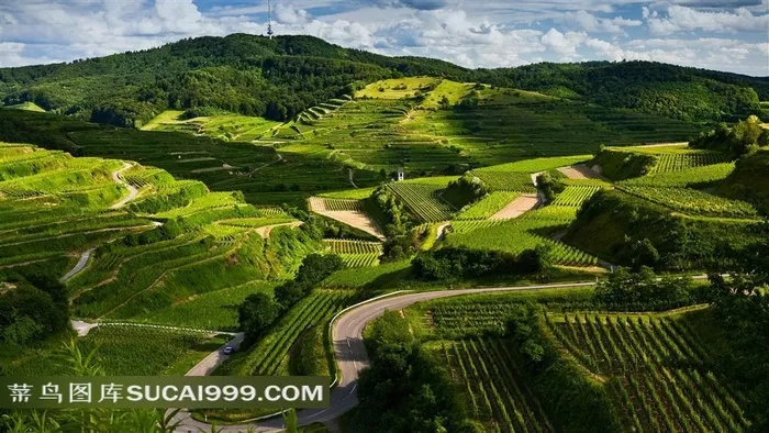 高清晰田园美景下蜿蜒崎岖的山路风景