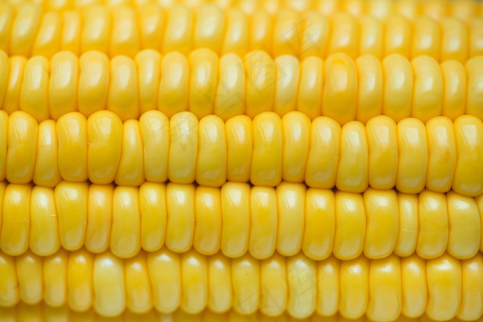 玉米单个图片特写图片