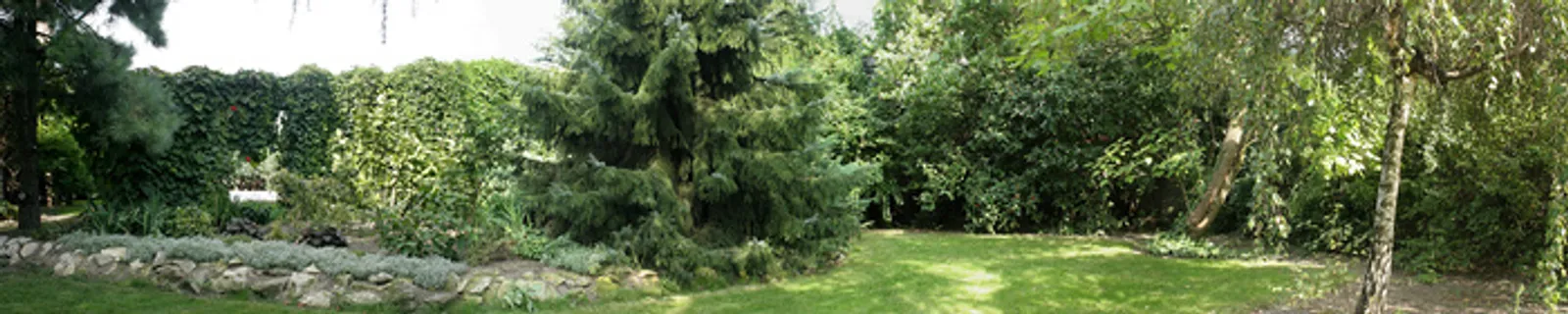 大幅风景 树林 树木 