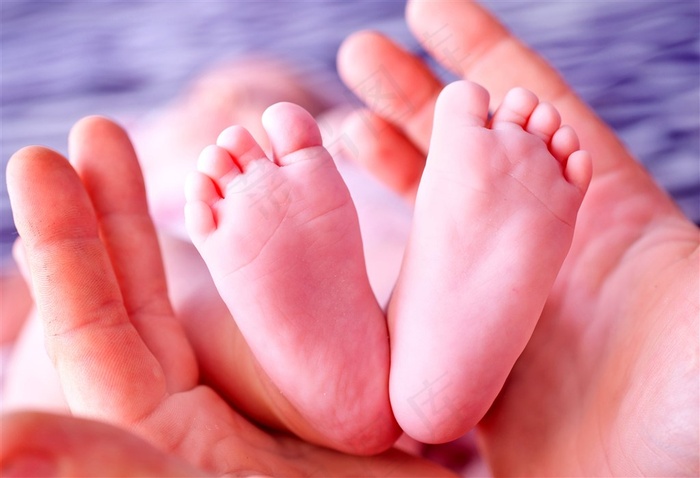 婴儿脚部摄影图集
