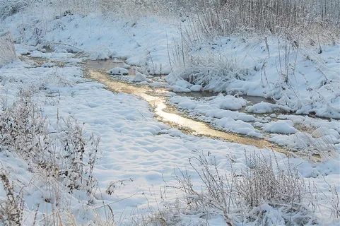 田野草地雪景