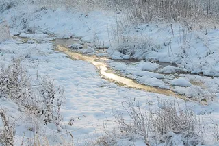 田野草地雪景