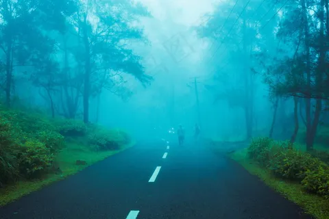 浓雾中公路图片 浓雾中公路图片