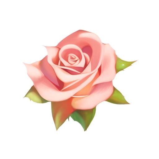 花玫瑰花免抠(2048x2048)
