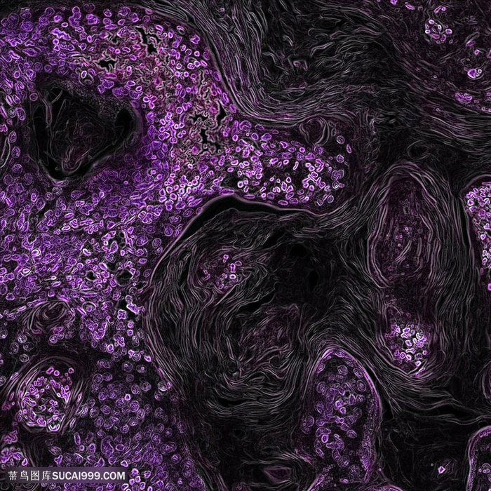 紫色绘画抽象背景