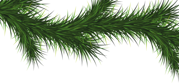 圣诞树免扣png  