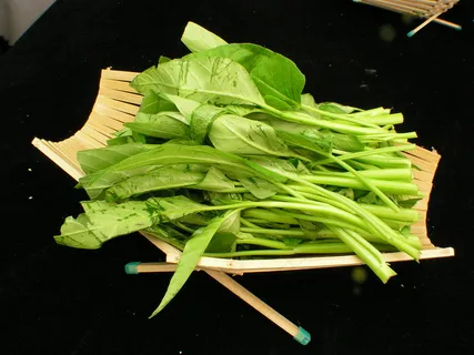 一 通菜    一 通菜