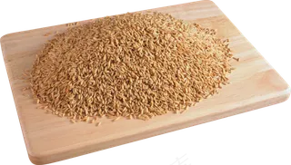 免抠农家小麦实物摄影