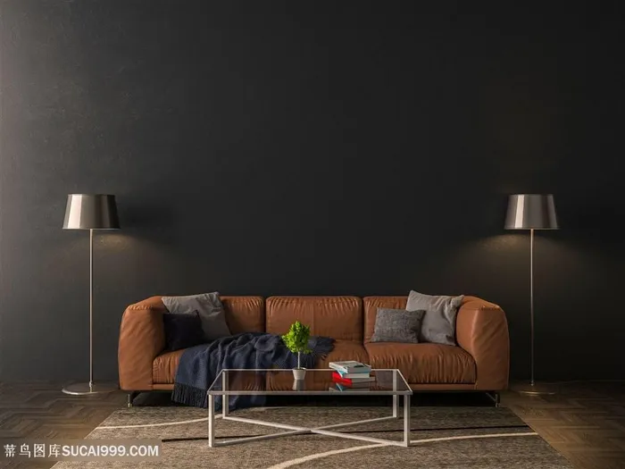 经典黑色软装效果图高清