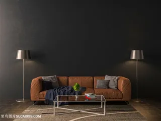 经典黑色软装效果图高清