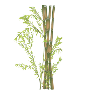 竹子水墨画中国风国画墨水书法竹子画