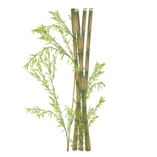 竹子水墨画中国风国画墨水书法竹子画