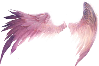 粉色翅膀免扣素材