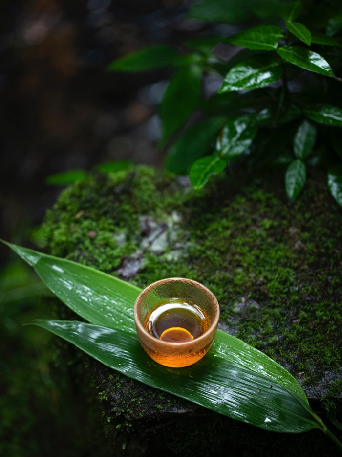 端午粽子素材